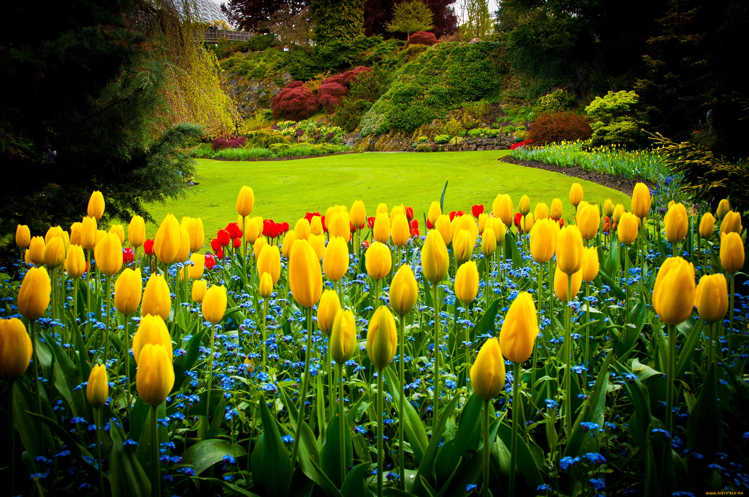 queen elizabeth park vancouver, , , , , , , , 